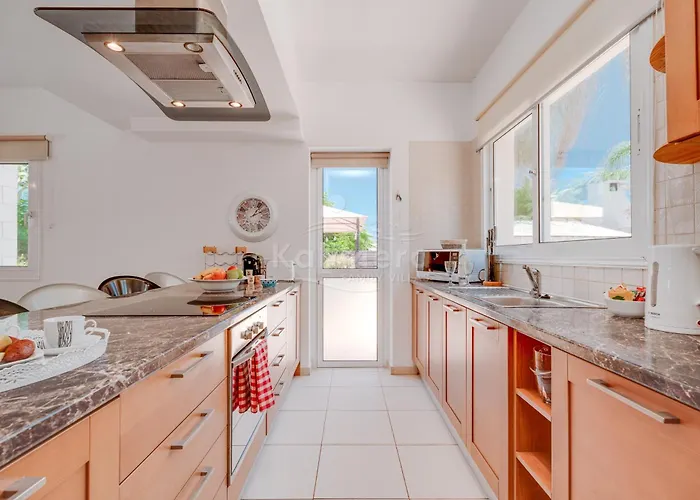 Hanna 普罗塔拉斯